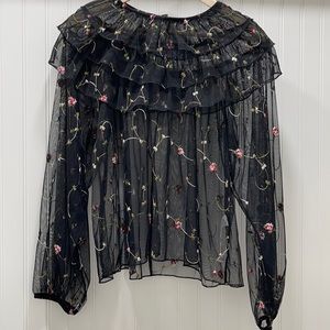 NWOT Zara Embroidered Tule Long Sleeve blouse